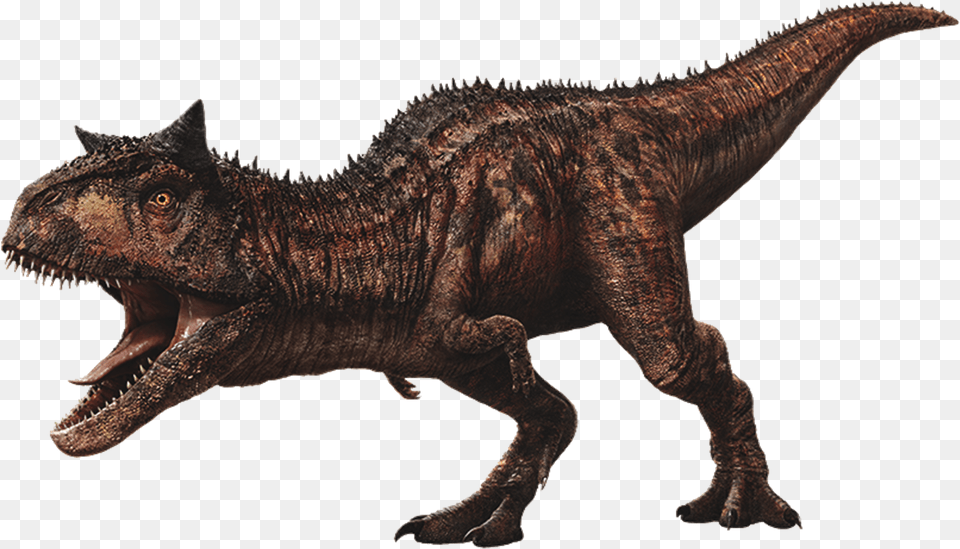 Jurassic World Carnotaurus V2 By Sonichedgehog2 Jurassic World Fallen Kingdom Carnotaurus, Animal, Dinosaur, Reptile, T-rex Free Transparent Png