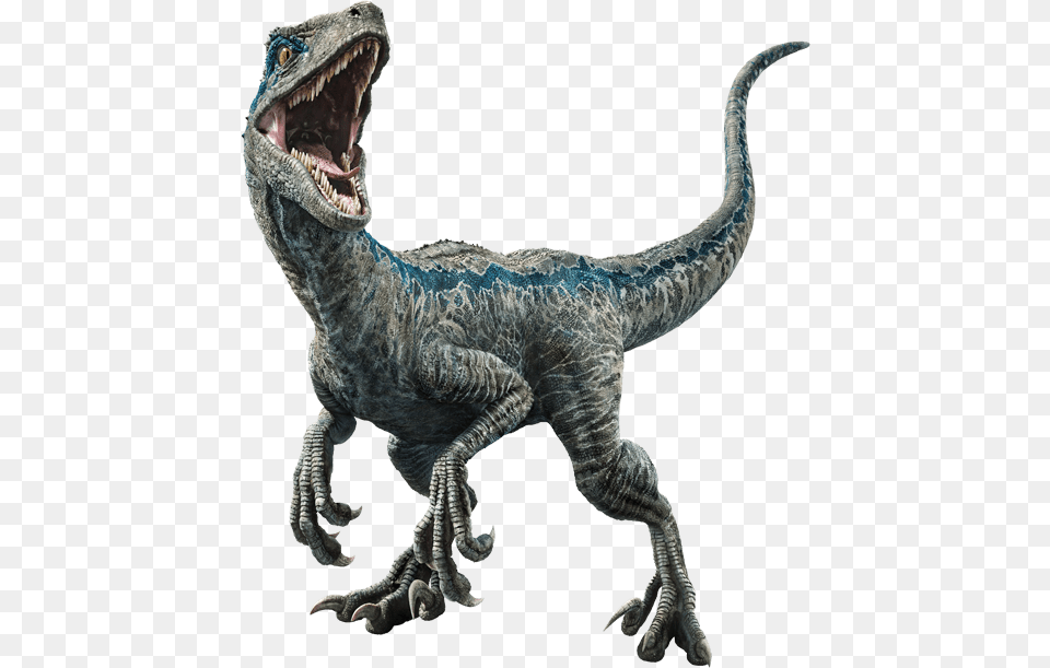 Jurassic World Dinosaurs Blue, Animal, Dinosaur, Reptile, T-rex Png