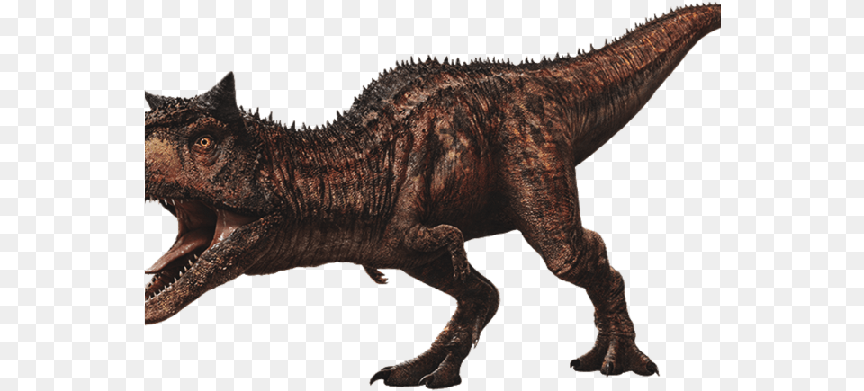 Jurassic World Dinosaurs Carnotaurus, Animal, Dinosaur, Lizard, Reptile Free Transparent Png