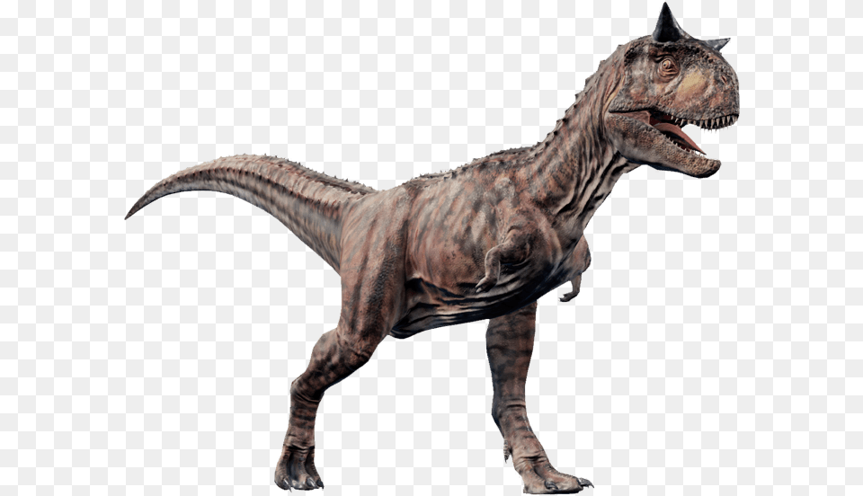 Jurassic World Evolution Carnotaurus, Animal, Dinosaur, Reptile, T-rex Png Image