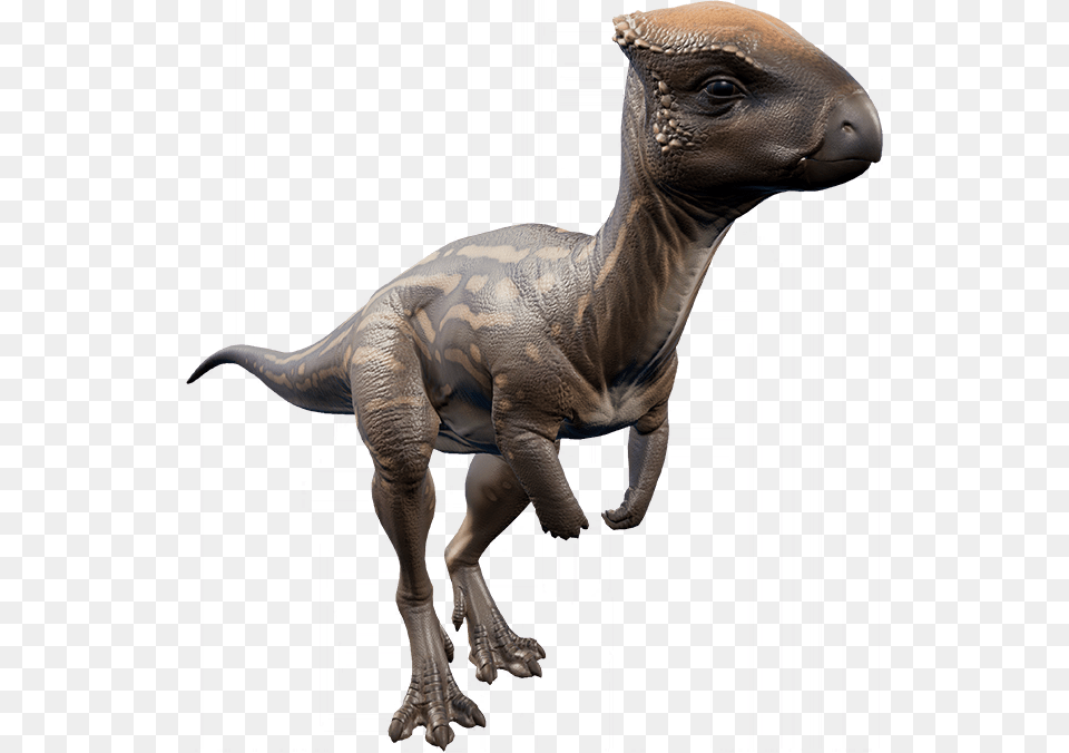 Jurassic World Evolution Dinosaurs Herbivore, Animal, Dinosaur, Reptile, T-rex Free Png Download