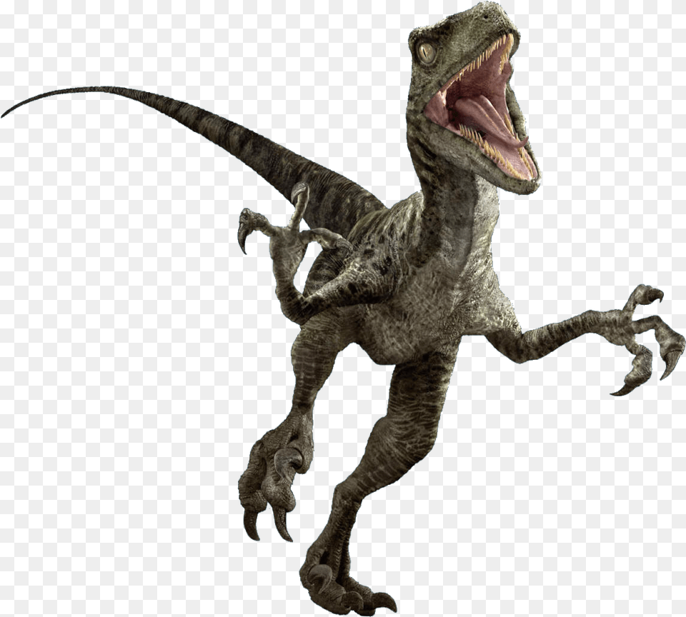 Jurassic World Evolution Download Image Jurassic World Raptor, Animal, Dinosaur, Reptile, T-rex Free Transparent Png