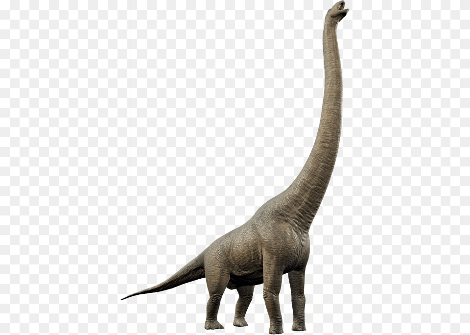 Jurassic World Evolution Dreadnoughtus, Animal, Dinosaur, Reptile, Elephant Free Transparent Png