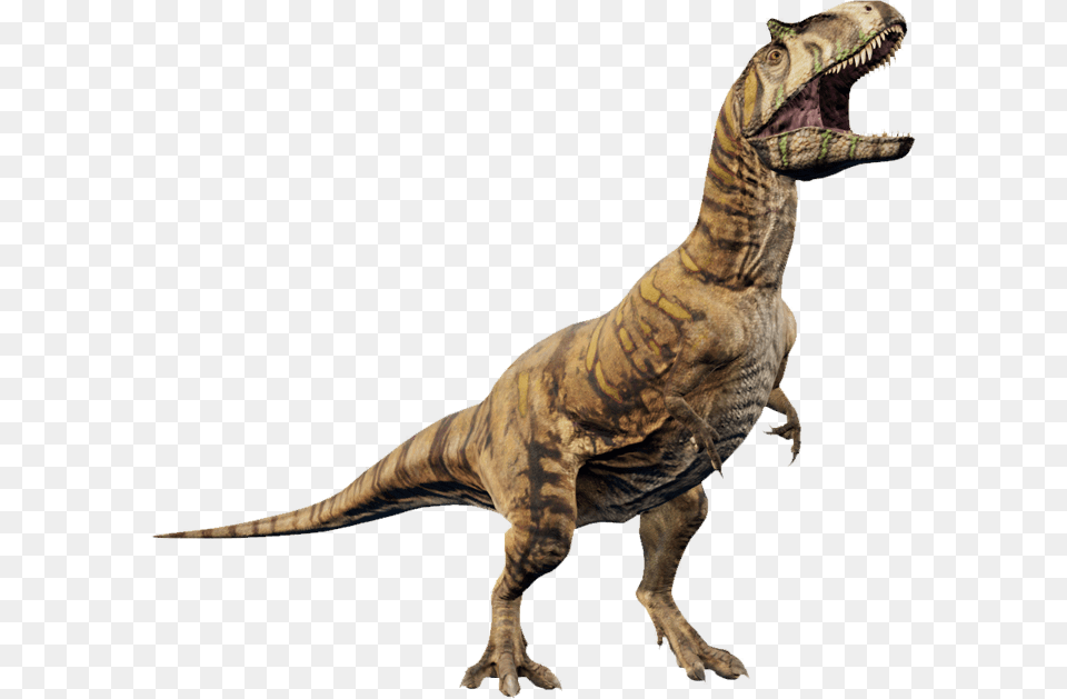 Jurassic World Evolution Metriacanthosaurus, Animal, Dinosaur, Reptile, T-rex Png Image