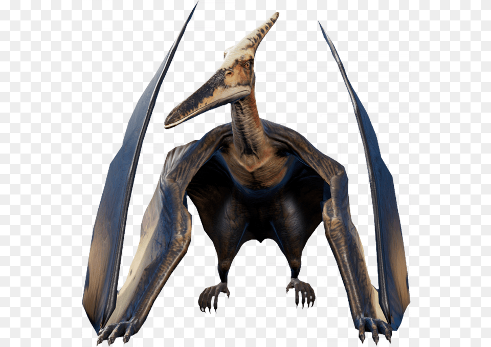 Jurassic World Evolution Pteranodon, Animal, Dinosaur, Reptile Free Png Download