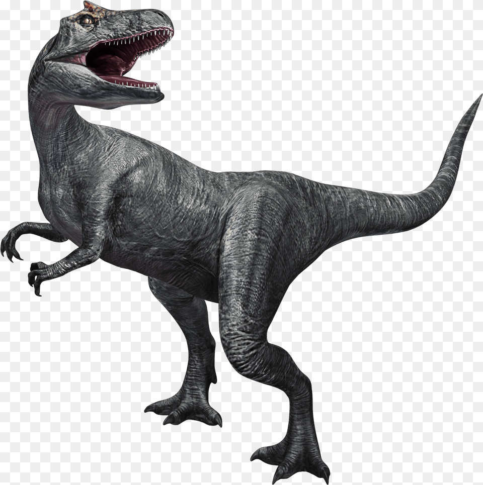 Jurassic World Fallen Kingdom Allosaurus, Animal, Dinosaur, Reptile, T-rex Png Image