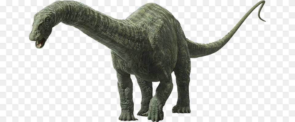 Jurassic World Fallen Kingdom Apatosaurus, Animal, Dinosaur, Reptile, T-rex Free Png