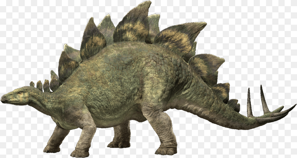 Jurassic World Fallen Kingdom Stegosaurus V4 By Sonichedgehog2 Dco06sh Pentaceratops, Animal, Dinosaur, Reptile Free Png