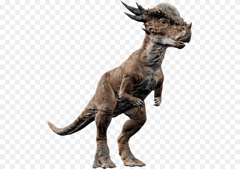 Jurassic World Fallen Kingdom Stygimoloch, Animal, Dinosaur, Reptile, T-rex Free Png Download