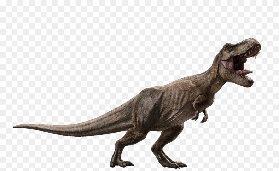 Jurassic World Fallen Kingdom Tyrannosaurus, Animal, Dinosaur, Reptile, T-rex Free Transparent Png