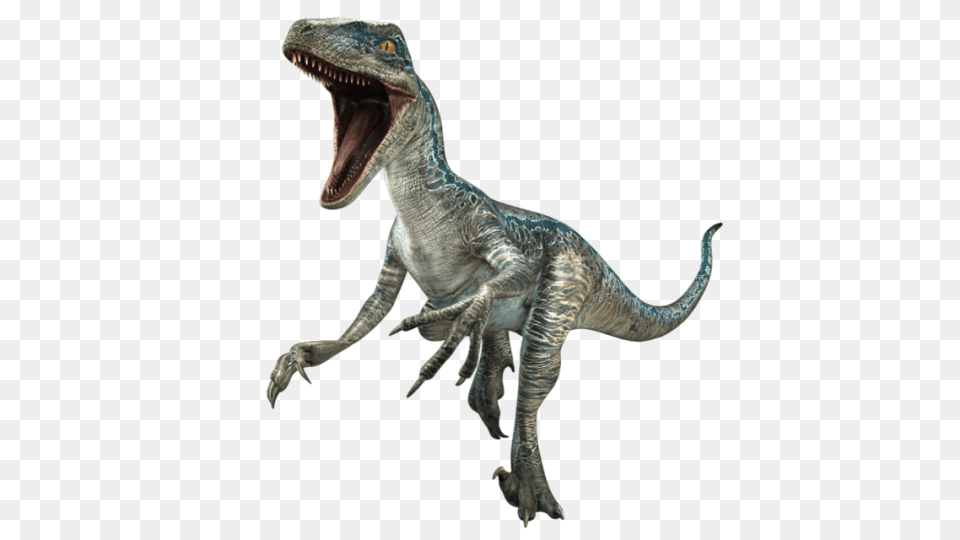 Jurassic World Fan Tumblr, Animal, Dinosaur, Reptile, T-rex Free Png Download