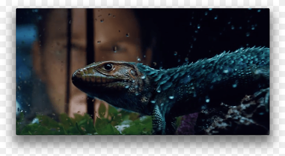 Jurassic World Nods To Feathered Dinosaursas A Professional Jurassic World Feathered Lizard, Animal, Reptile Png Image