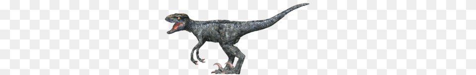 Jurassic World Project Version Now Available, Animal, Dinosaur, Reptile, T-rex Free Transparent Png