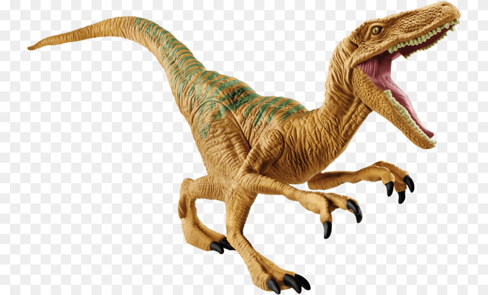Jurassic World Raptor Echo Velociraptor Jurassic World Echo, Animal, Dinosaur, Reptile, T-rex Png Image