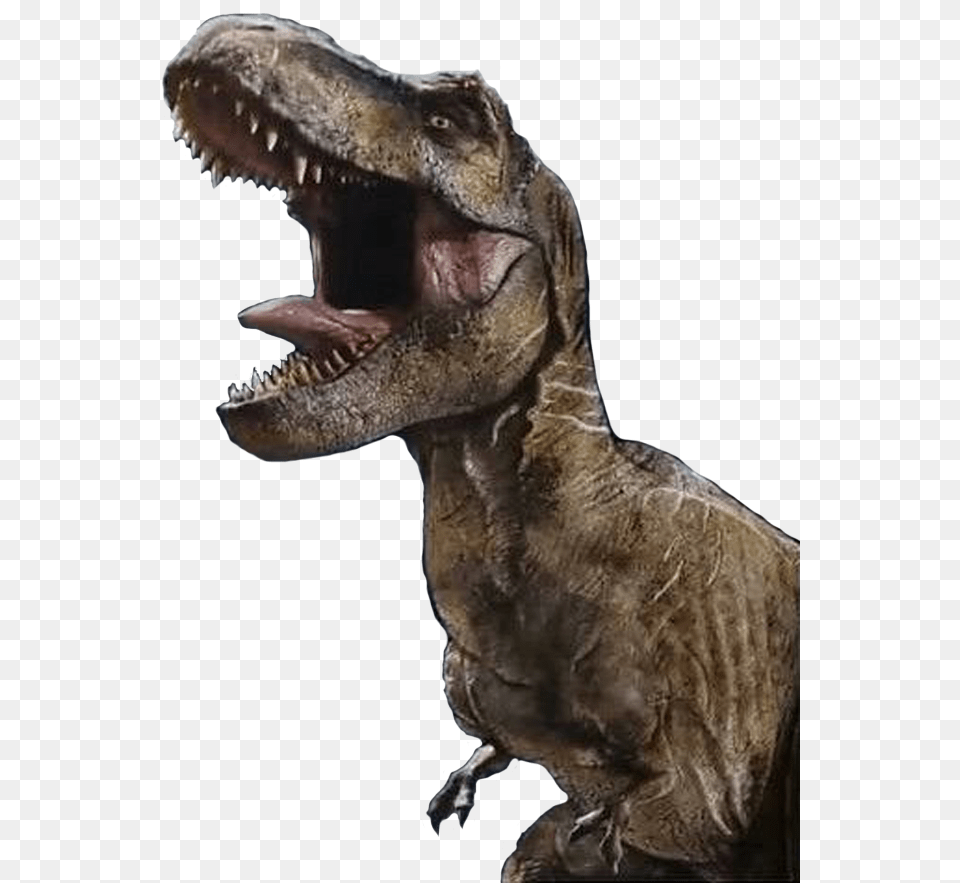 Jurassic World T Rex Render, Animal, Dinosaur, Reptile, T-rex Free Transparent Png