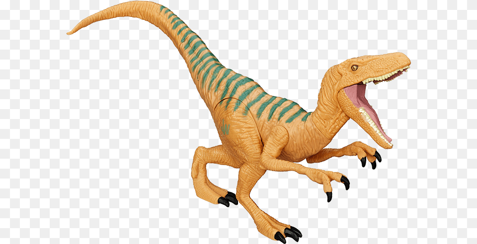 Jurassic World Velociraptor Figure Echo Jurassic World, Animal, Dinosaur, Reptile, T-rex Png