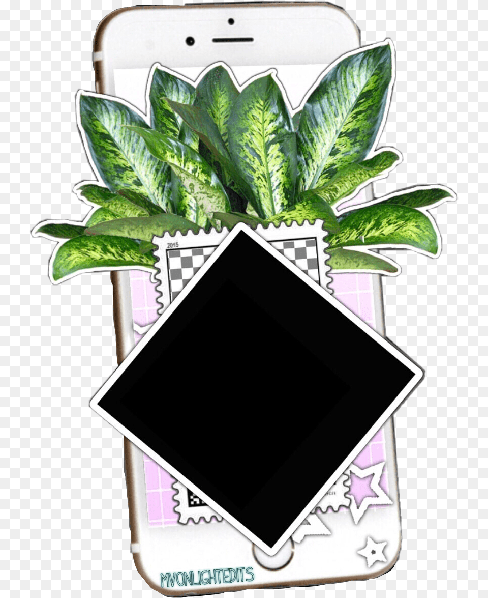 Just A Little Iphoneplantediting Sticker For Your Plant Texture, Electronics, Leaf, Mobile Phone, Phone Png Image