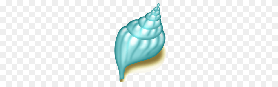 Just Beachy Clip Art, Animal, Invertebrate, Sea Life, Seashell Free Png