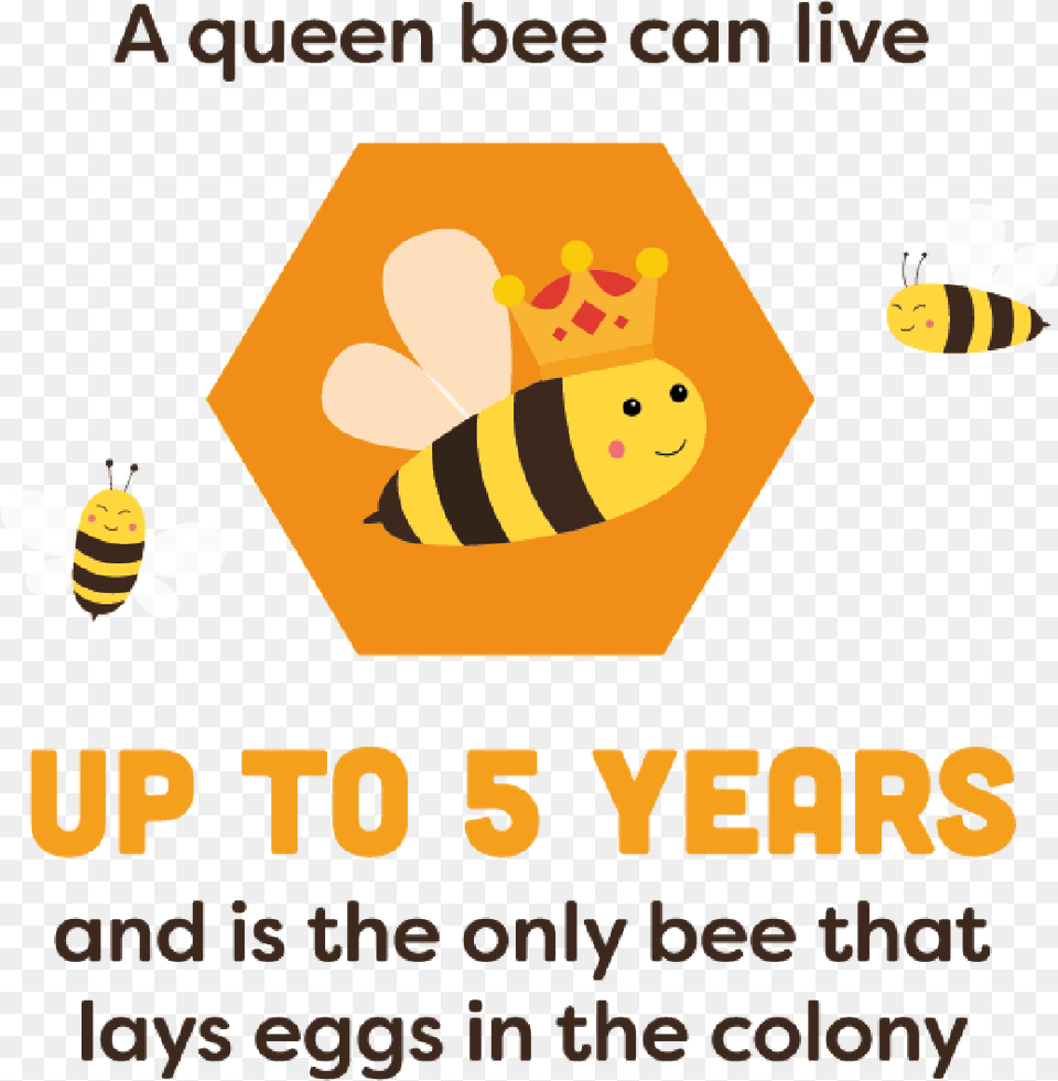 Just Bee Cause Language, Animal, Honey Bee, Insect, Invertebrate Free Png Download