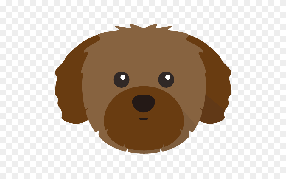Just For Your Shih Tzu, Snout, Animal, Canine, Dog Png Image