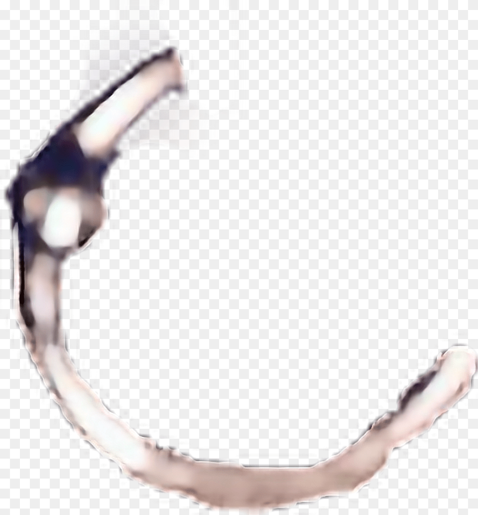 Just My Nose Ring Lol Flaless Freetoedit Transparent Nose Ring Sticker, Adult, Male, Man, Person Free Png