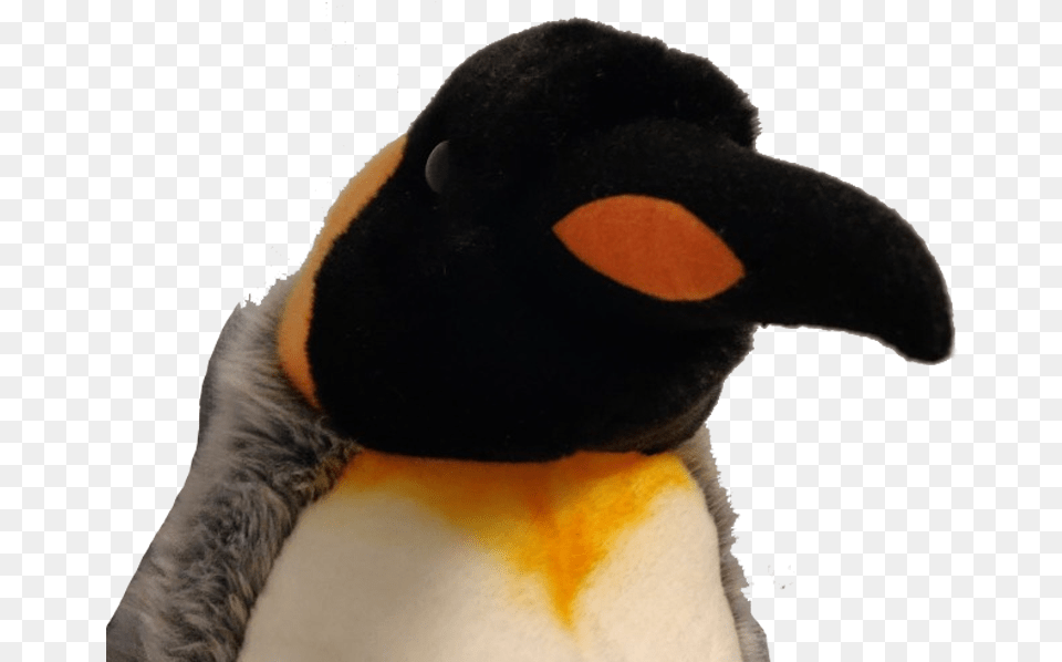 Just One Second King Penguin, Animal, Bird, King Penguin, Bear Free Png Download