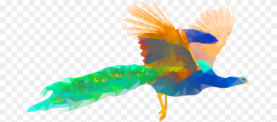 Just Posting So It Can Show Up On Google Searches Craft, Person, Animal, Bird Free Transparent Png