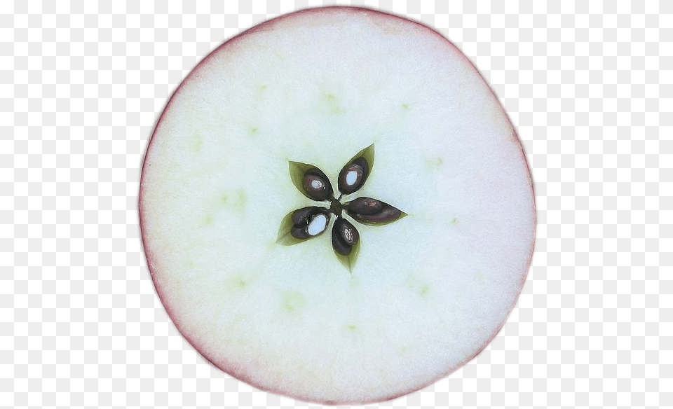 Justhostcom Apple Fruit Pentacle Fresh, Food, Plant, Produce Free Transparent Png