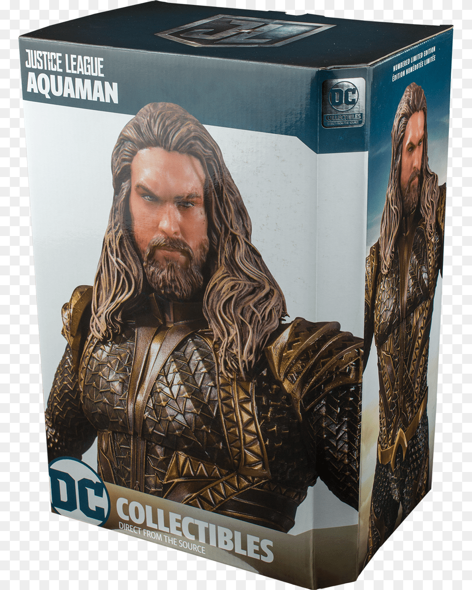 Justice League Aquaman Barbie, Adult, Person, Man, Male Free Png Download