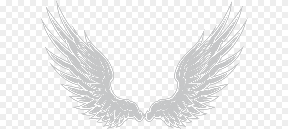Justin Bieber Angel Wing, Emblem, Symbol, Animal, Bird Free Png