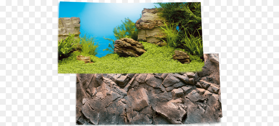 Juwel Cliff Dark Stone X Large, Aquatic, Moss, Plant, Rock Free Transparent Png