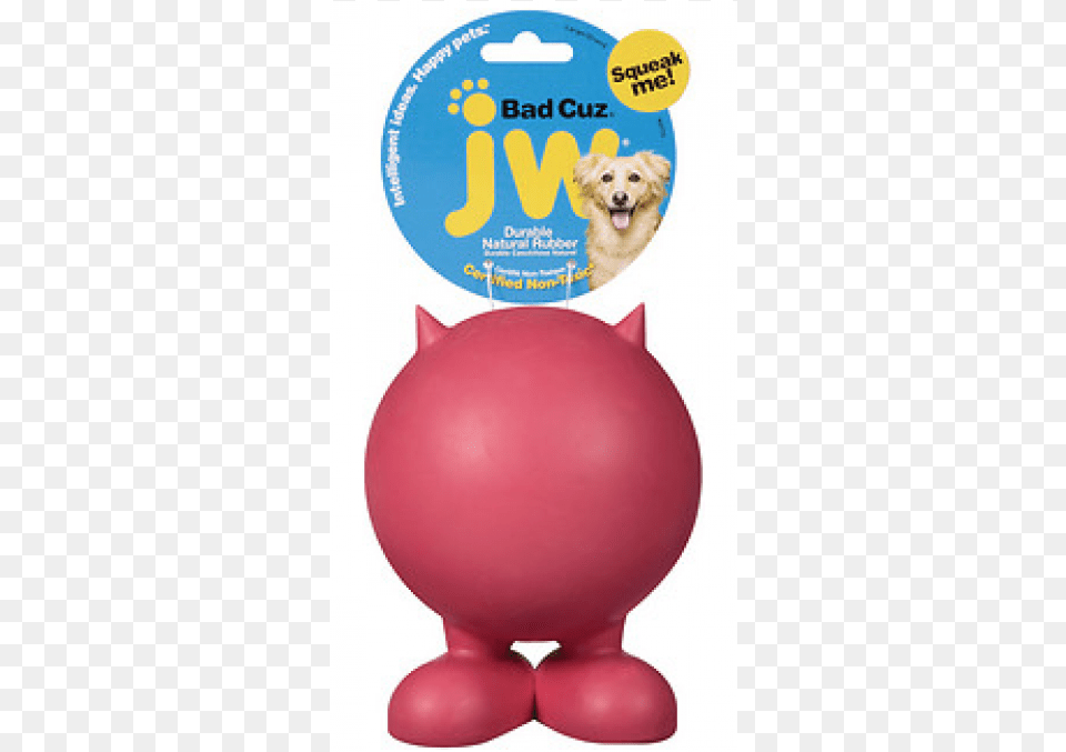 Jw Bad Cuz Large Jw Pet Darwin The Frog Dog Toy Medium 1 Toy, Animal, Canine, Mammal, Piggy Bank Png Image