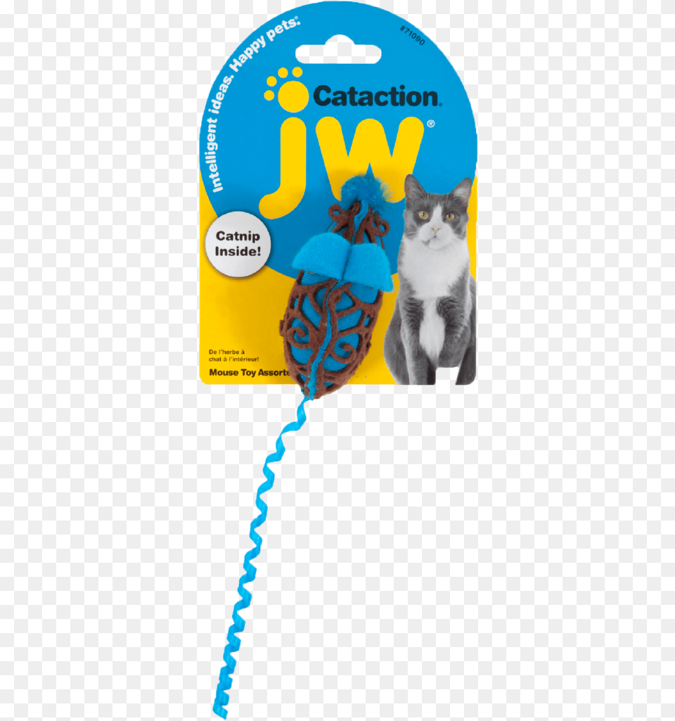 Jw Cataction Bird, Animal, Cat, Mammal, Pet Free Png Download