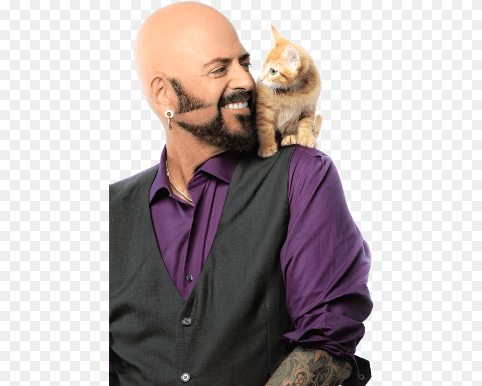 Jxn Kitten Tabby Cat, Adult, Male, Person, Man Free Transparent Png