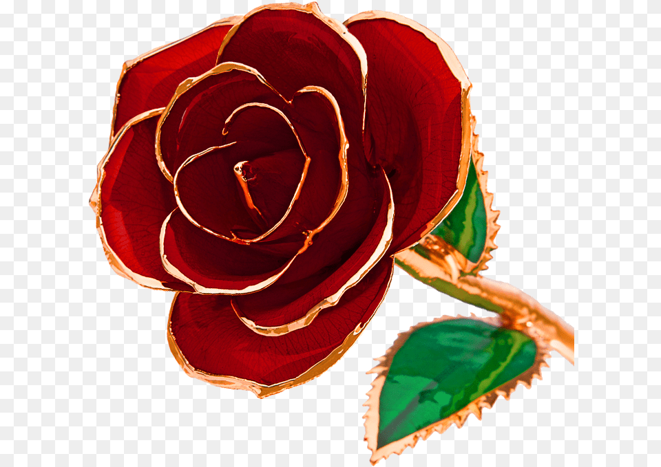 K Dipped Real Rose Made Out Of Gold, Flower, Plant Png
