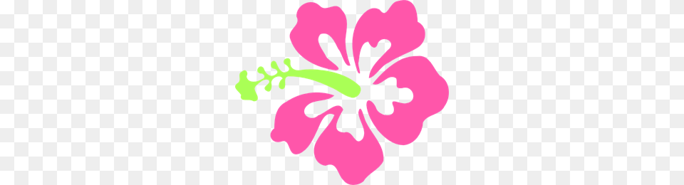 K Images Icon Cliparts, Flower, Plant, Hibiscus Free Png