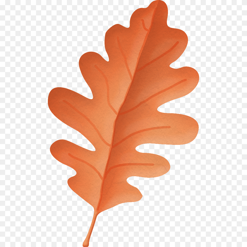 Kaagard Autumnfalling Journalsnotebookscards, Leaf, Plant, Tree, Person Free Transparent Png
