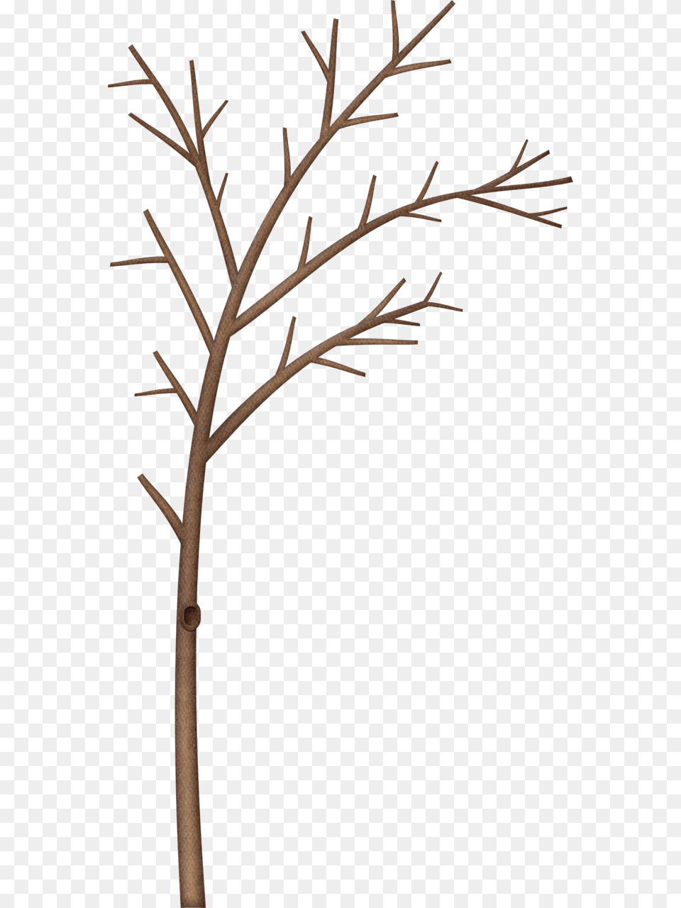 Kaagard Littleforestwinter Paintings, Plant, Tree, Coat Rack Png Image