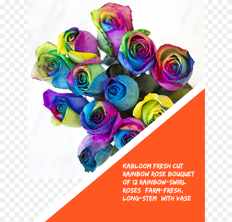 Kabloom Fresh Cut Rainbow Rose Bouquet Of 12 Rainbow Rainbow Rose, Advertisement, Flower, Flower Arrangement, Flower Bouquet Free Png Download