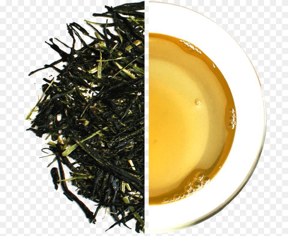 Kabuse Tea Leaves In Water, Beverage, Plant, Green Tea Free Png Download