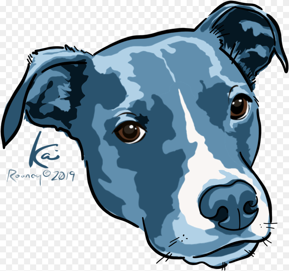 Kai No Border Staffordshire Bull Terrier, Snout, Baby, Person, Face Png