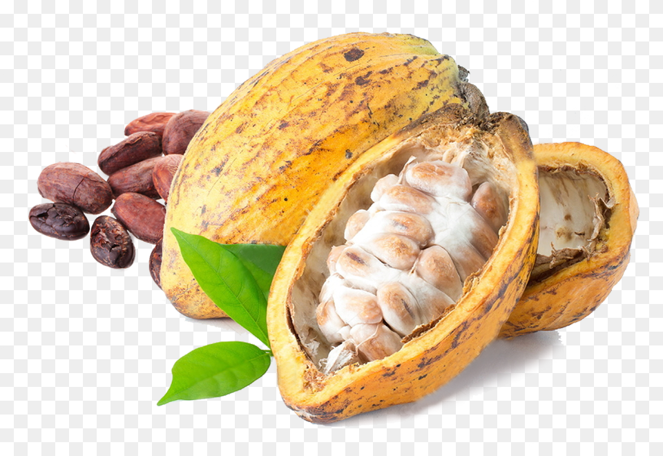 Kakao Pictures Free Download Cacao, Cocoa, Dessert, Food, Fungus Png