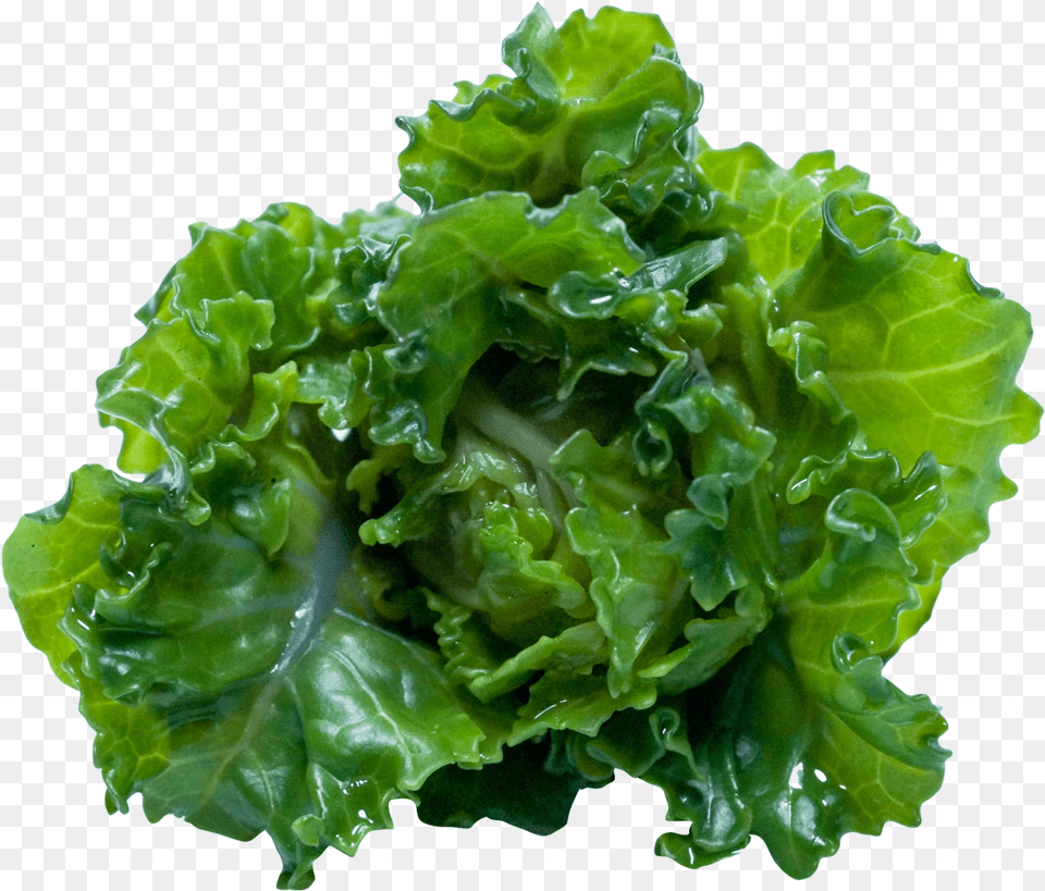 Kale, Food, Lettuce, Plant, Produce Png