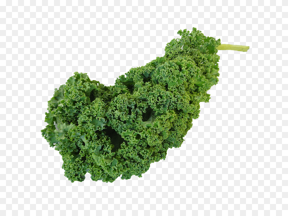Kale Food, Leafy Green Vegetable, Plant, Produce Png