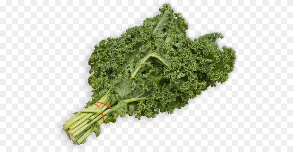 Kale 200g Pack Kale, Food, Leafy Green Vegetable, Plant, Produce Free Png Download