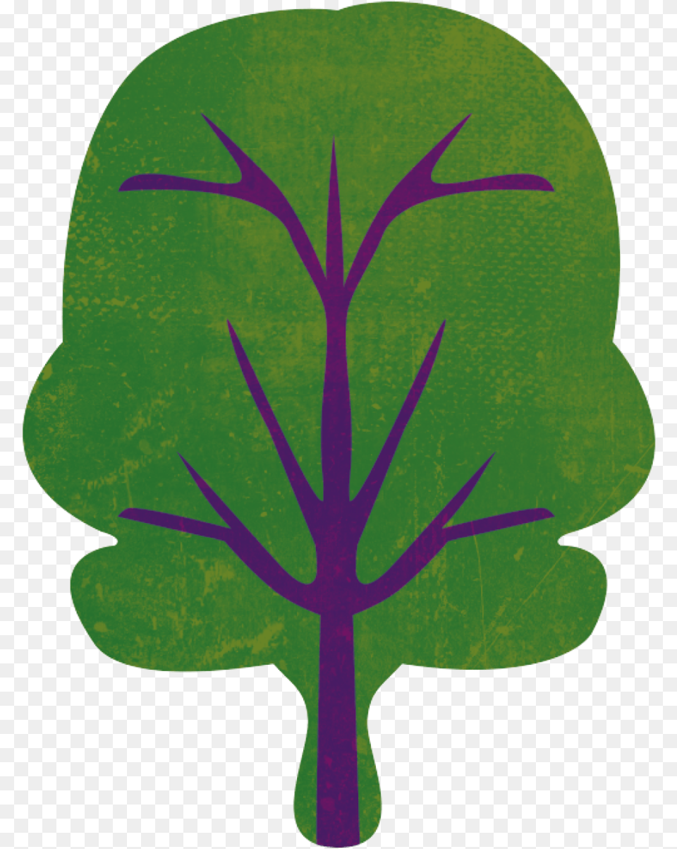 Kale, Leaf, Plant, Herbal, Herbs Free Transparent Png