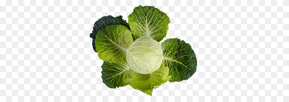 Kale Food, Produce, Leafy Green Vegetable, Plant Free Transparent Png