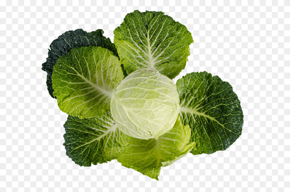 Kale Food, Plant, Produce, Leafy Green Vegetable Png
