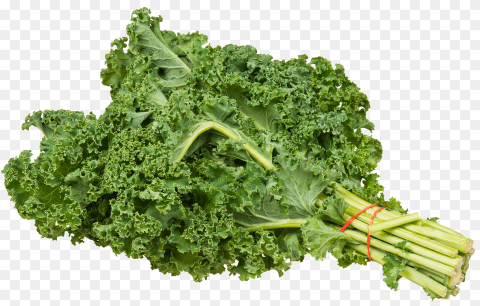 Kale Bundle, Food, Leafy Green Vegetable, Plant, Produce Png Image