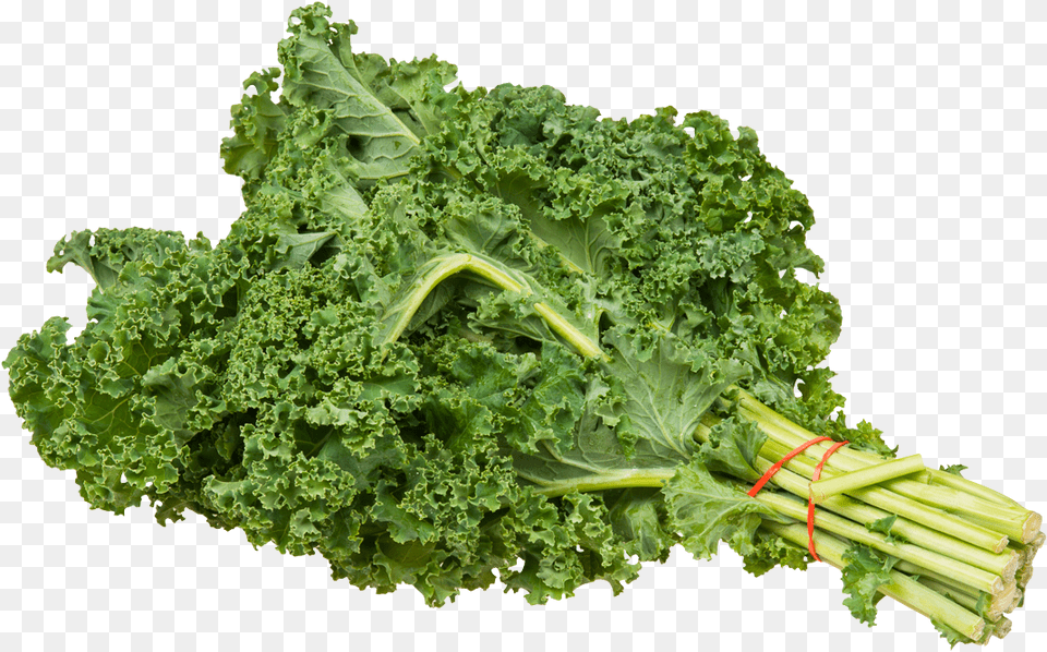 Kale Bundle Kale, Food, Leafy Green Vegetable, Plant, Produce Free Png Download